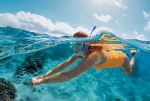 Snorkeling in Moorea